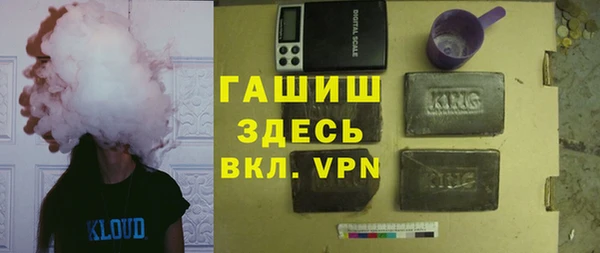 индика Новозыбков