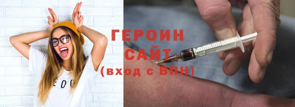 индика Новозыбков