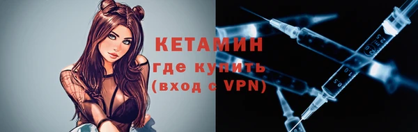 индика Новозыбков