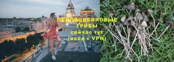 jwh Абаза