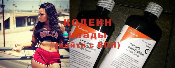индика Новозыбков