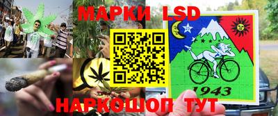круглые Новодвинск