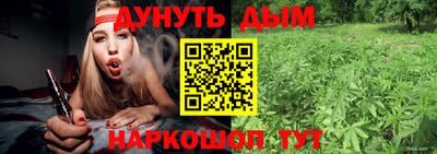 соль ск Новозыбков
