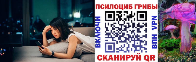 Псилоцибиновые грибы Psilocybine cubensis  mega сайт  Прокопьевск 