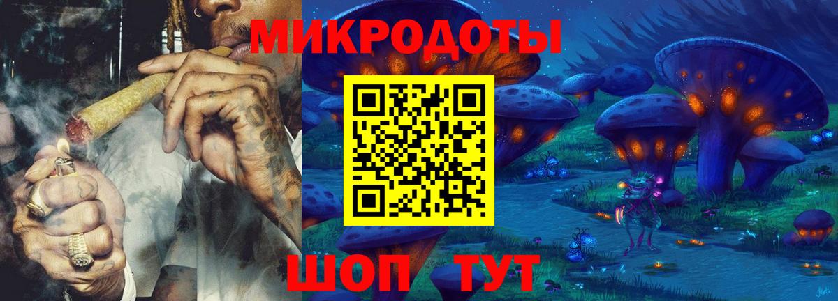 Прокопьевск  как найти   Вход с VPN  Галлюциногенные грибы Psilocybe 