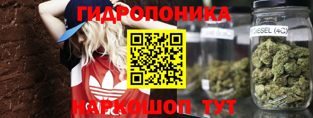 Шишки марихуана OG Kush Прокопьевск